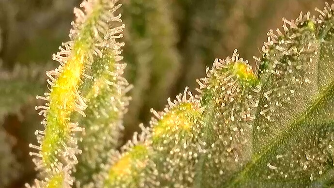 2024-08-18-08-23-31-086