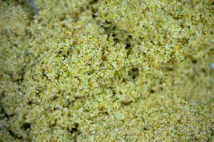 Charge2_Sift_2_01_kief