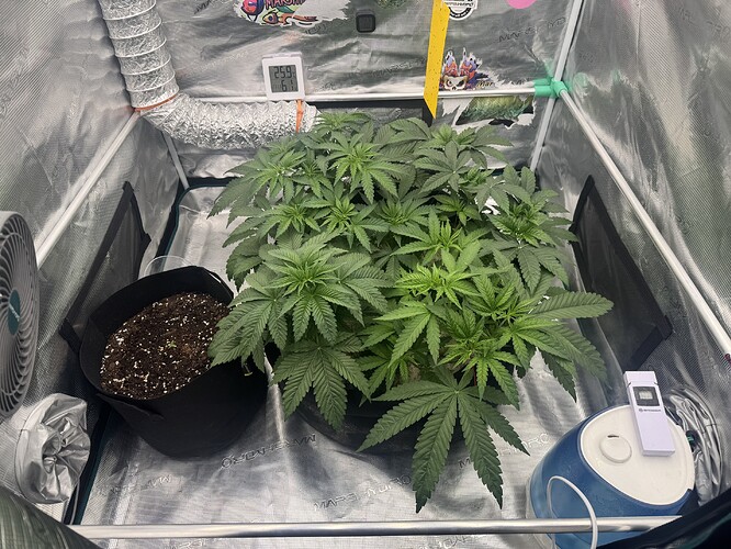 Growreport Bild 6