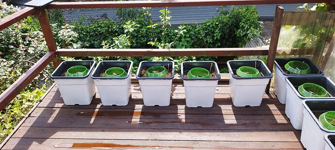 Growreport Bild 7