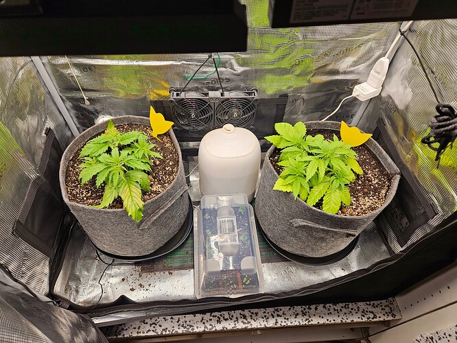 Growreport Bild 33
