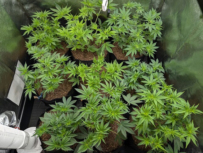 Growreport Bild 26