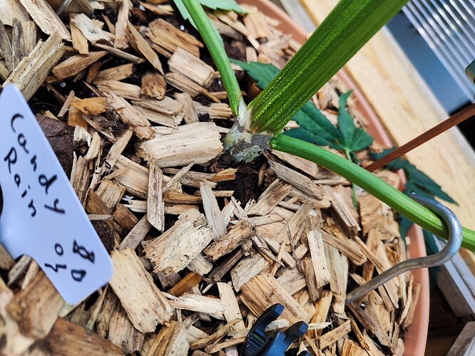 Growreport Bild 15
