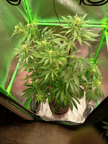 Growreport Bild 26