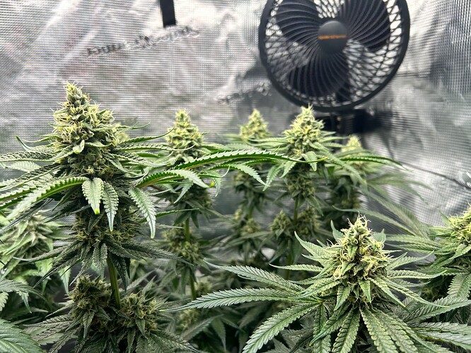 Growreport Bild 17