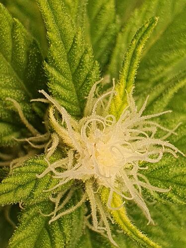 Growreport Bild 7