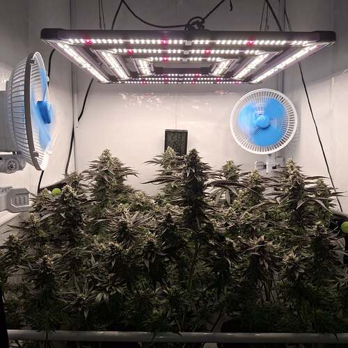 480423368_122168809742293599_3206906559457673485_n