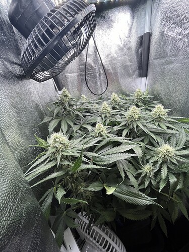 Growreport Bild 8