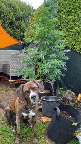 Growreport Bild 9