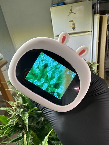Growreport Bild 65