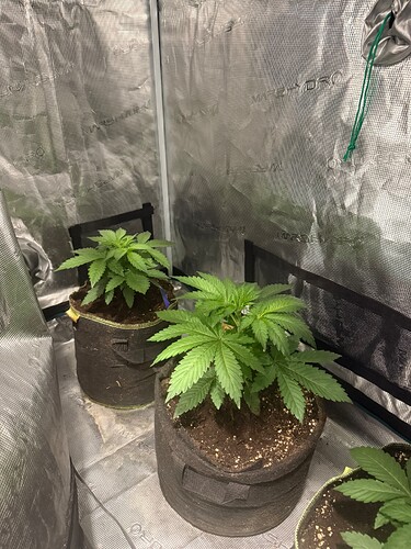 Growreport Bild 10