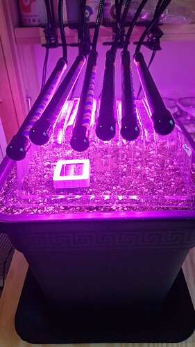 Growreport Bild 22