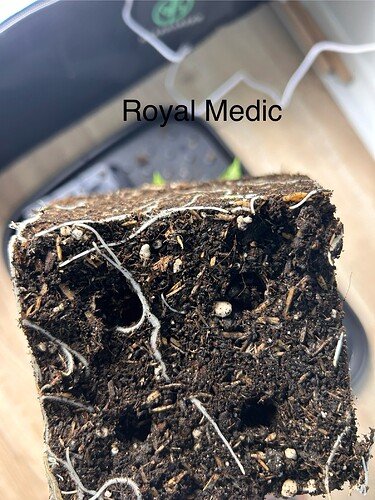 Growreport Bild 22