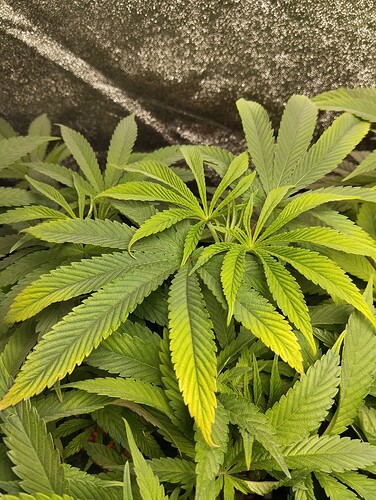 Growreport Bild 9