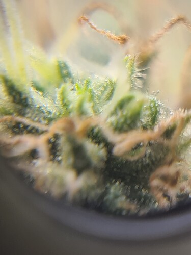 Growreport Bild 28
