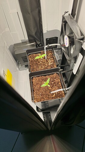 Growreport Bild 17