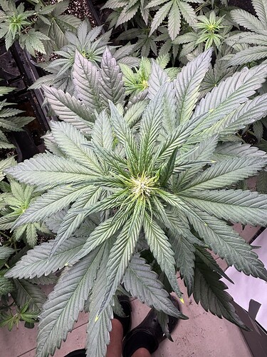 Growreport Bild 9