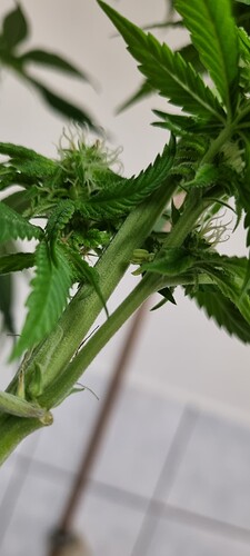 Growreport Bild 22