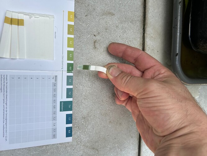 Growreport Bild 3