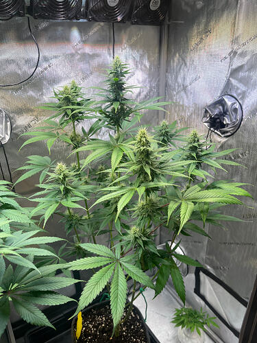 Growreport Bild 11