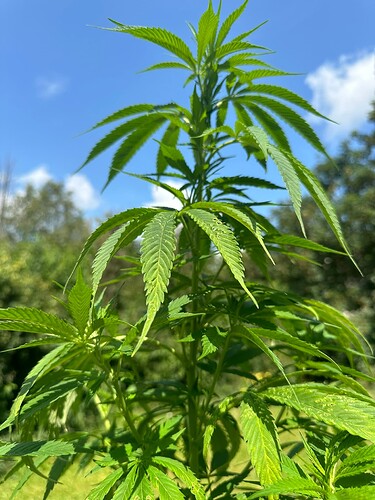 Growreport Bild 23