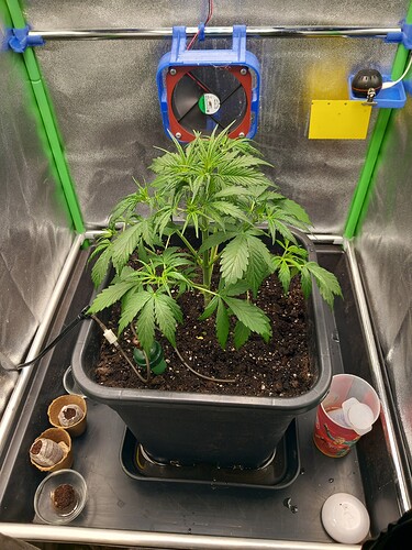 Growreport Bild 1