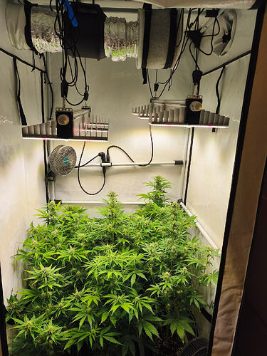 Growreport Bild 4