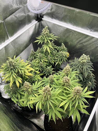 Growreport Bild 1