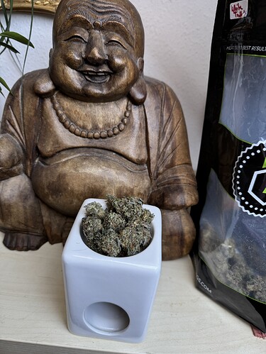 Growreport Bild 5
