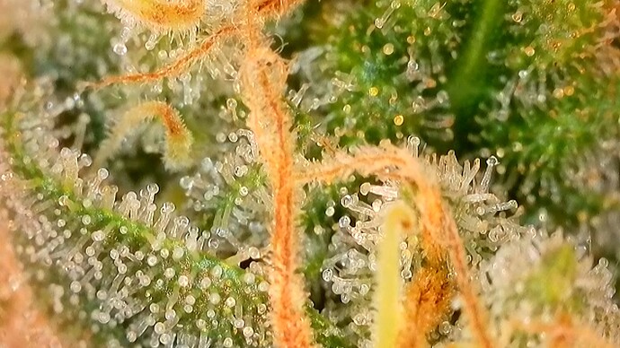 2024-06-29-14-38-54-295