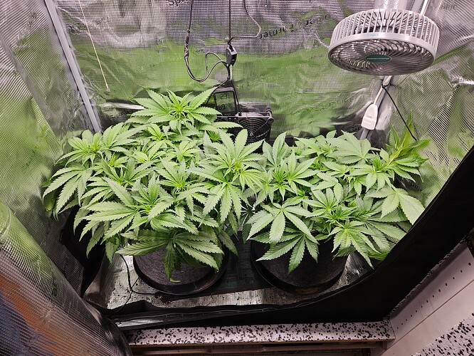 Growreport Bild 1