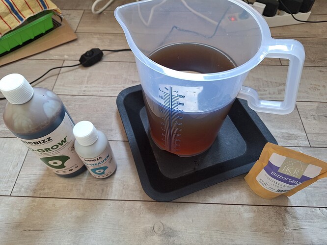 Growreport Bild 2