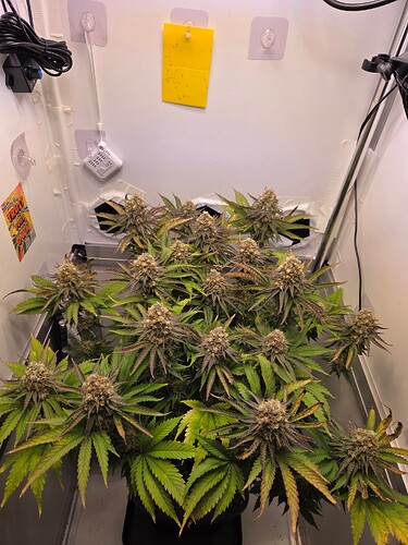 Growreport Bild 1