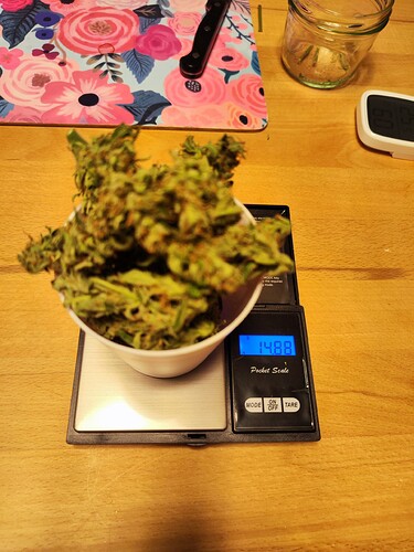 Growreport Bild 6