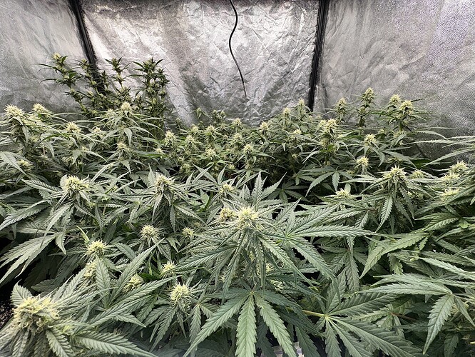 Growreport Bild 12