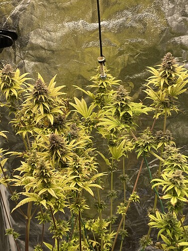 Growreport Bild 9