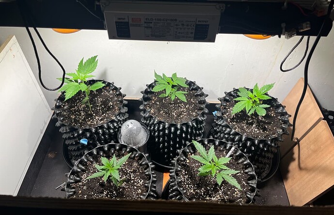 Growreport Bild 5