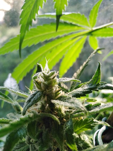 Growreport Bild 5