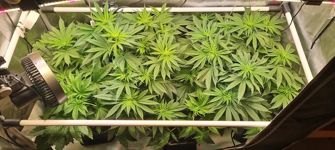 Growreport Bild 12