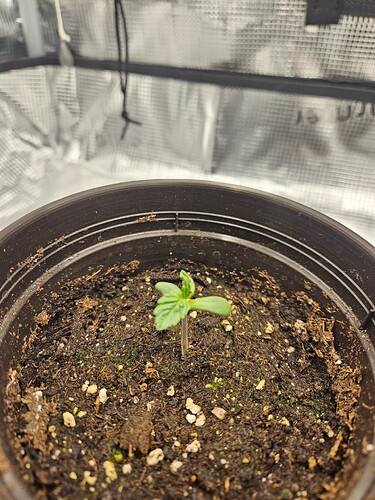 Growreport Bild 4