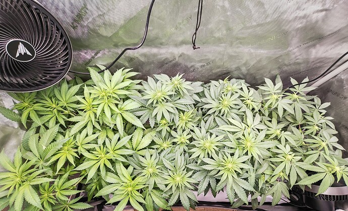 Growreport Bild 1