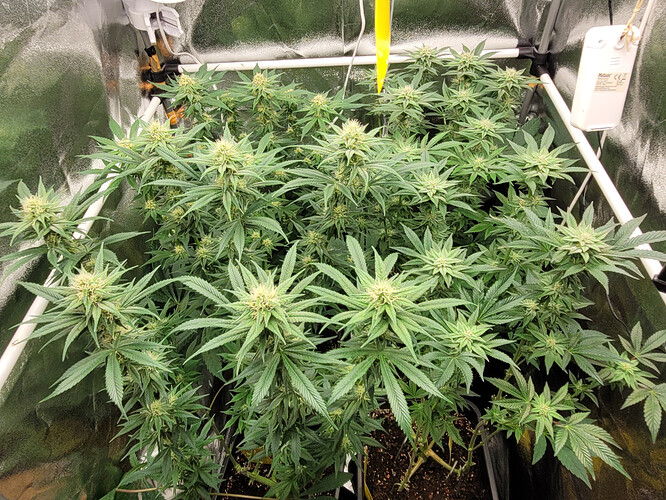 Growreport Bild 8
