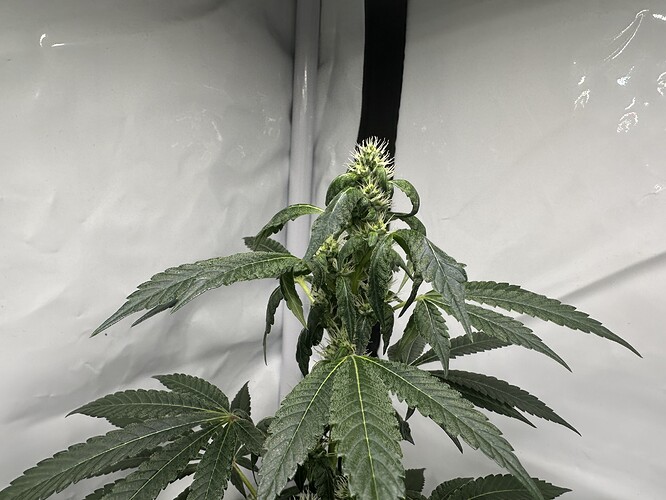Growreport Bild 11