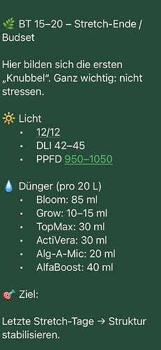 Growreport Bild 28