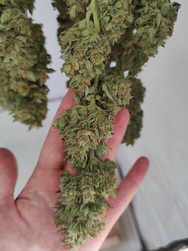 Growreport Bild 25