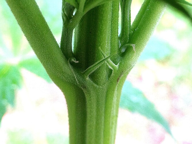 Grow25_0527_01