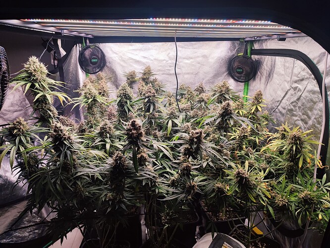 Growreport Bild 14