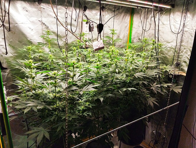 Growreport Bild 8
