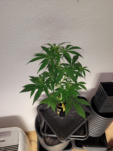 Growreport Bild 10
