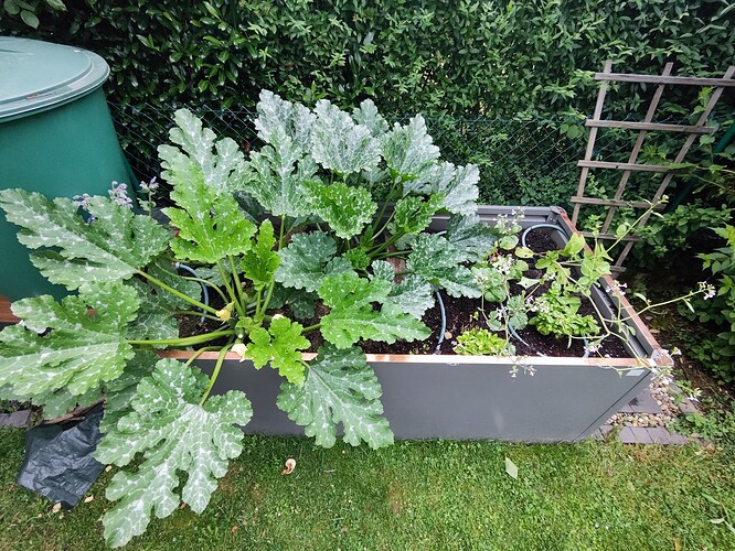 Growreport Bild 8